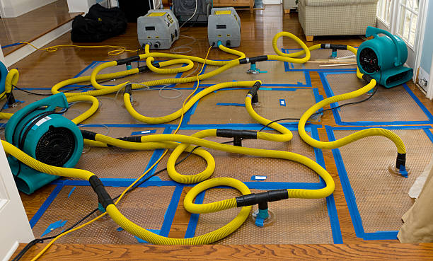 Professional Structural Drying And Dehumidification technician working in Roach, MO